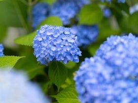 笛吹川温泉　坐忘