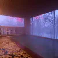 Sky open-air bath in the winter forest