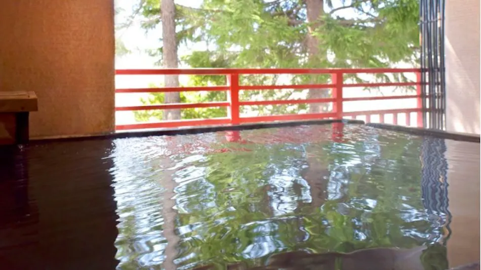 Niseko Konbu Onsen Hotel Kanronomori