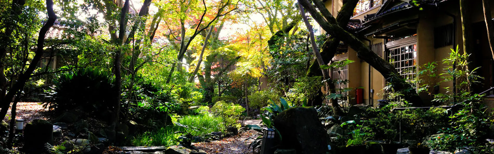 山ばな 平八茶屋