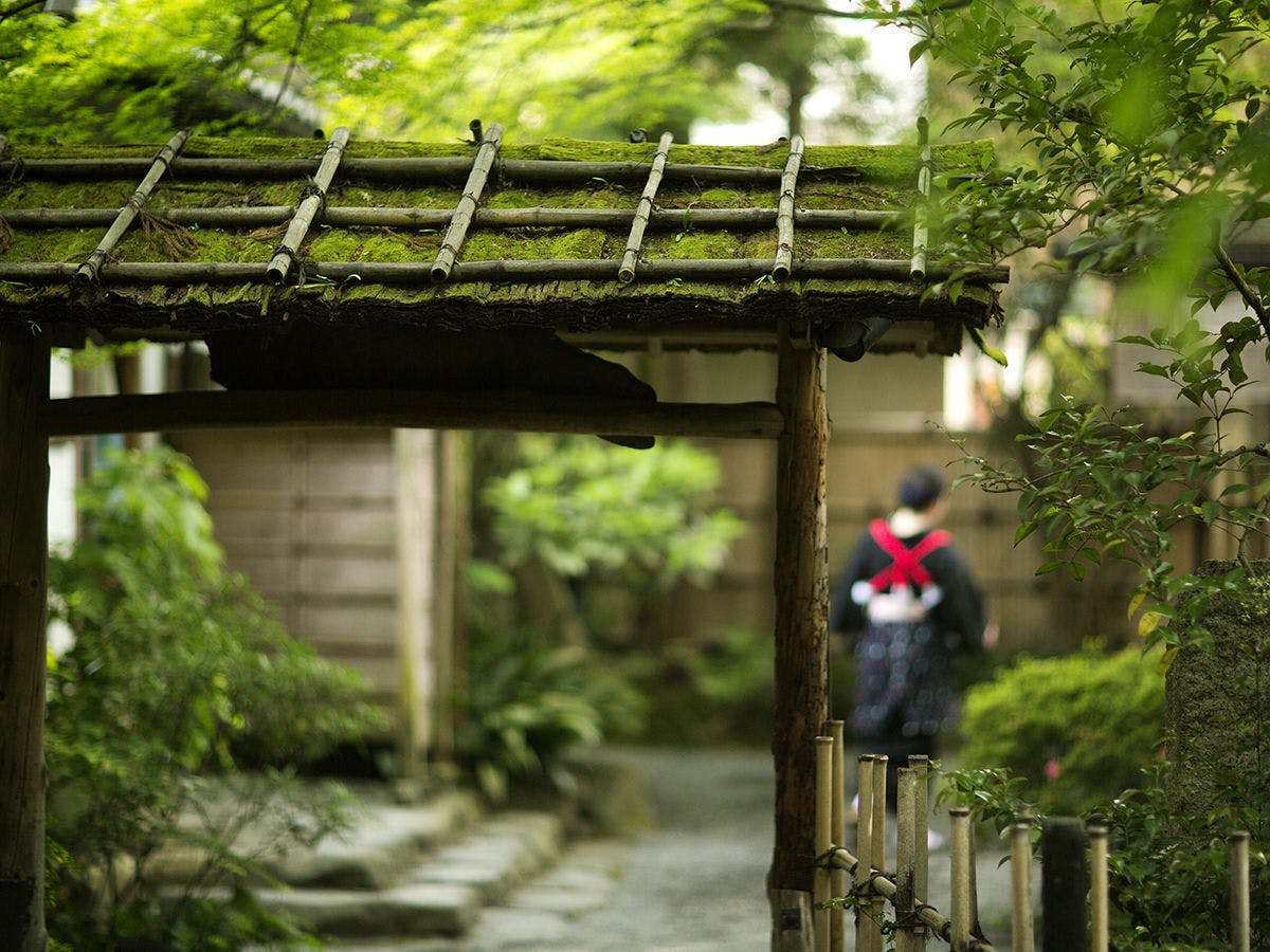 山ばな　平八茶屋