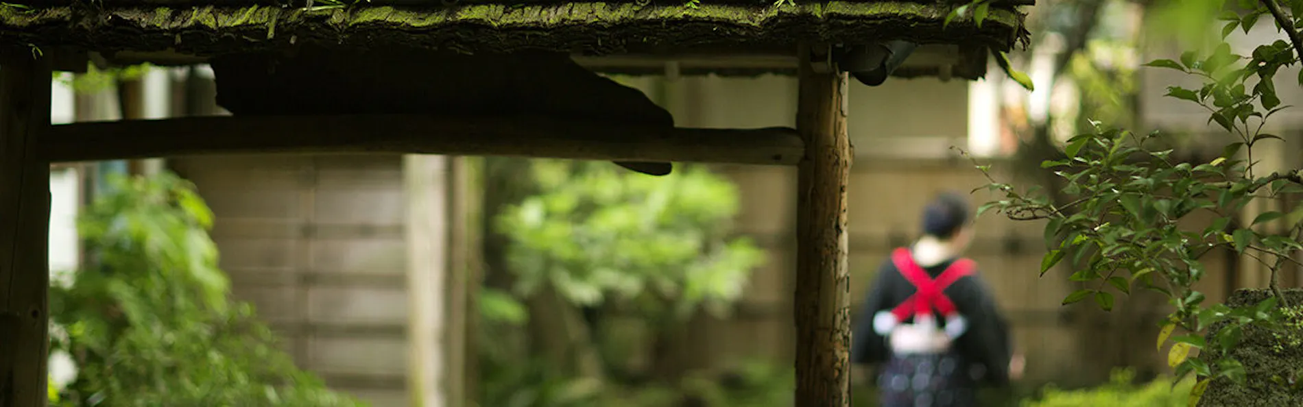 山ばな 平八茶屋