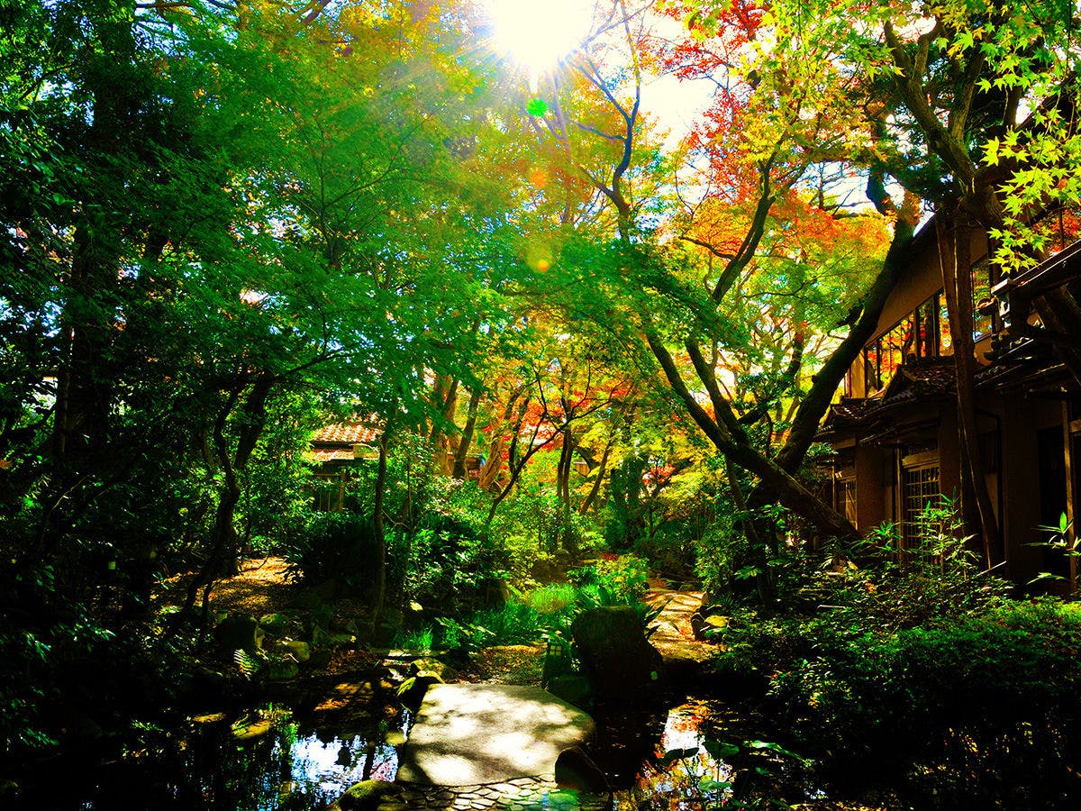 山ばな　平八茶屋