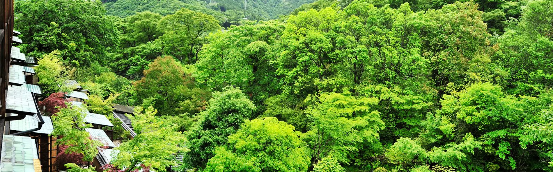 強羅花壇
