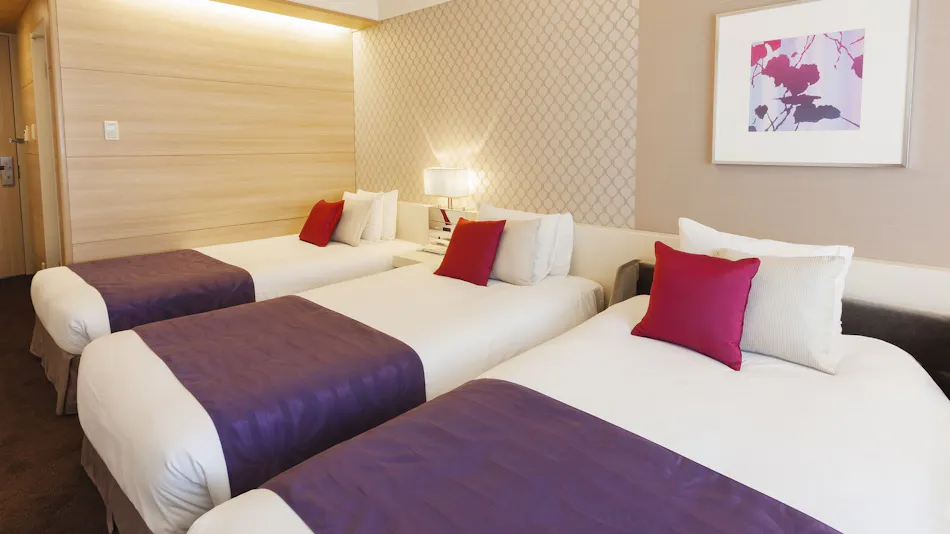 Hotel Elsereine Osaka