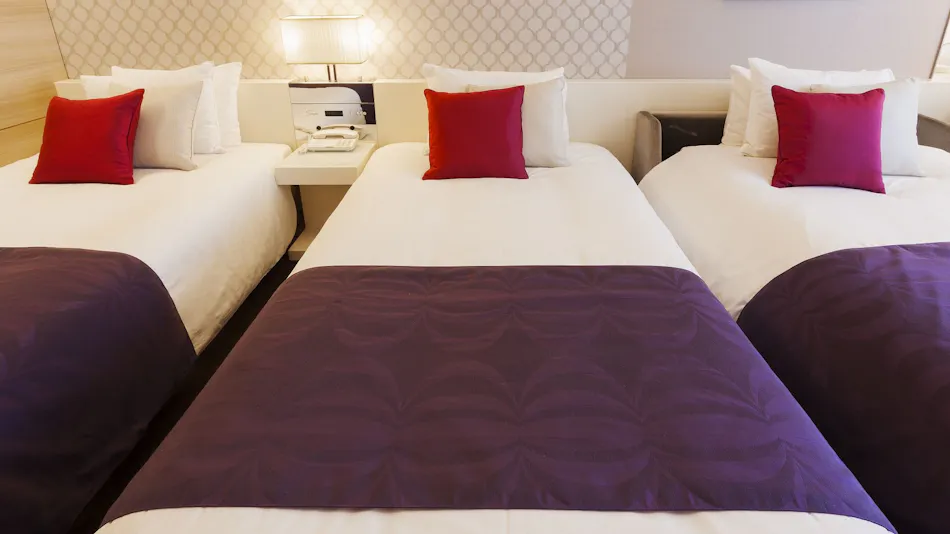 Hotel Elsereine Osaka