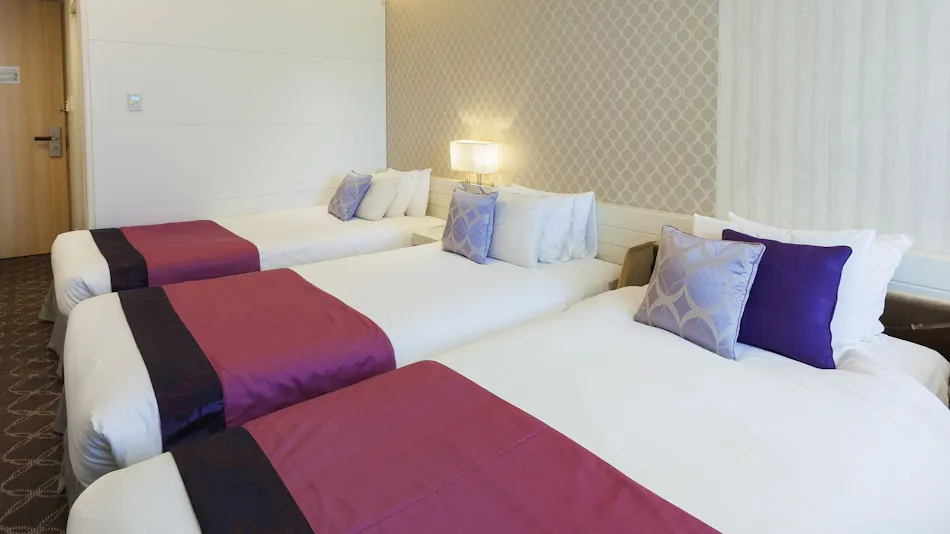 Hotel Elsereine Osaka
