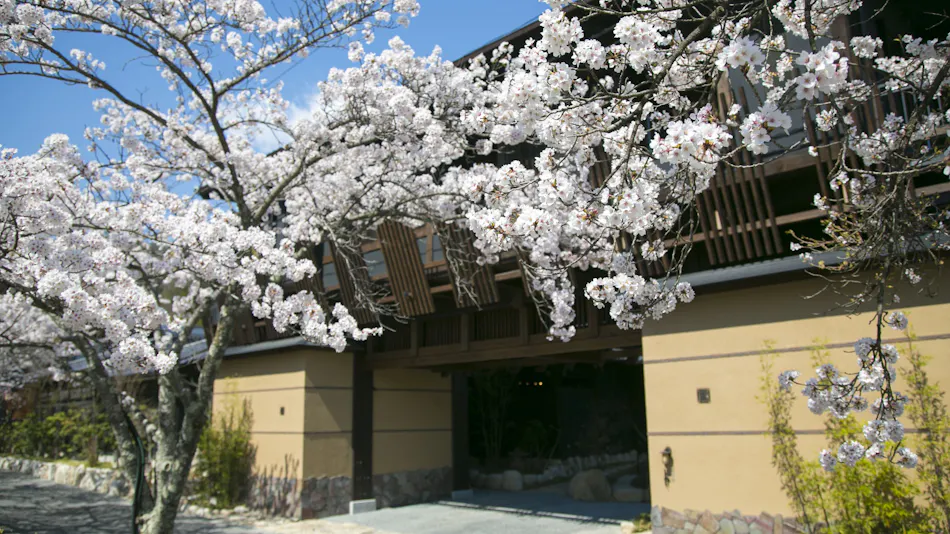 Hirugaminosumika Kurotake