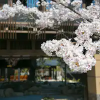 【昼神の棲 玄竹】Bunga persik dan Gerbang Pertemuan.