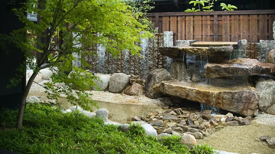 Hirugaminosumika Kurotake