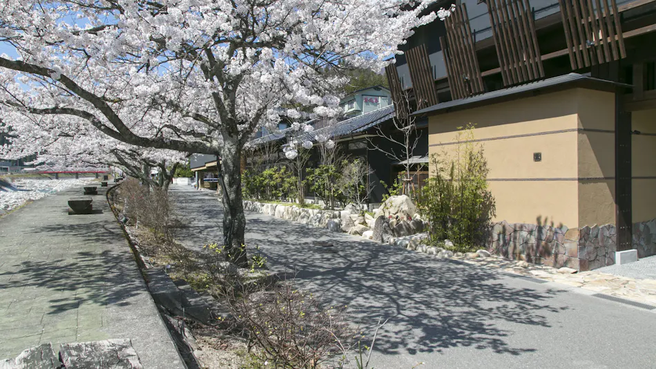 Hirugaminosumika Kurotake