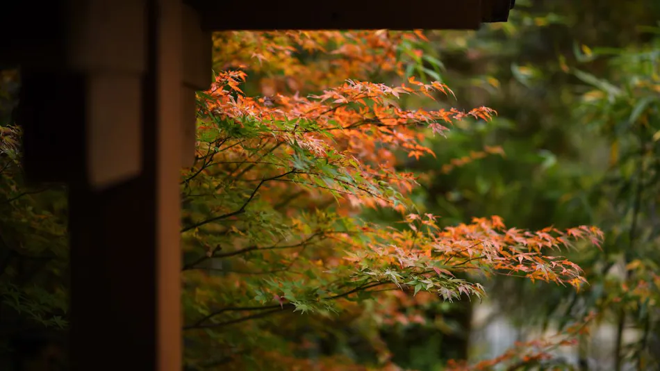 Harumiya Ryokan