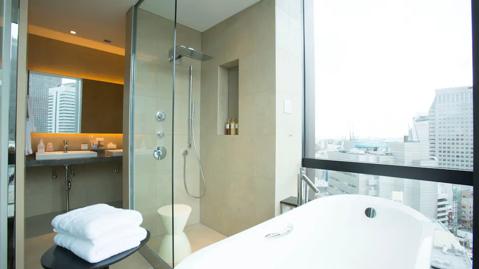 JR Kyushu Hotel Blossom Shinjuku
