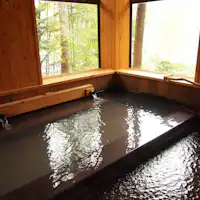 炭酸欲が楽しめるぬるめの温泉が魅力