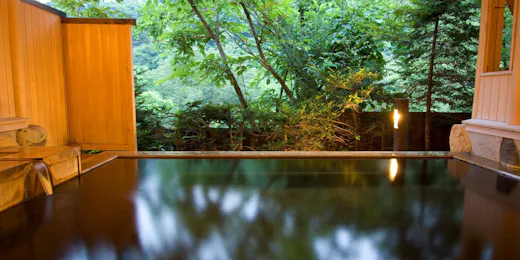 山里のいおり 草円