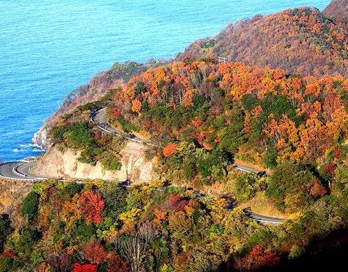 秋のレインボーライン