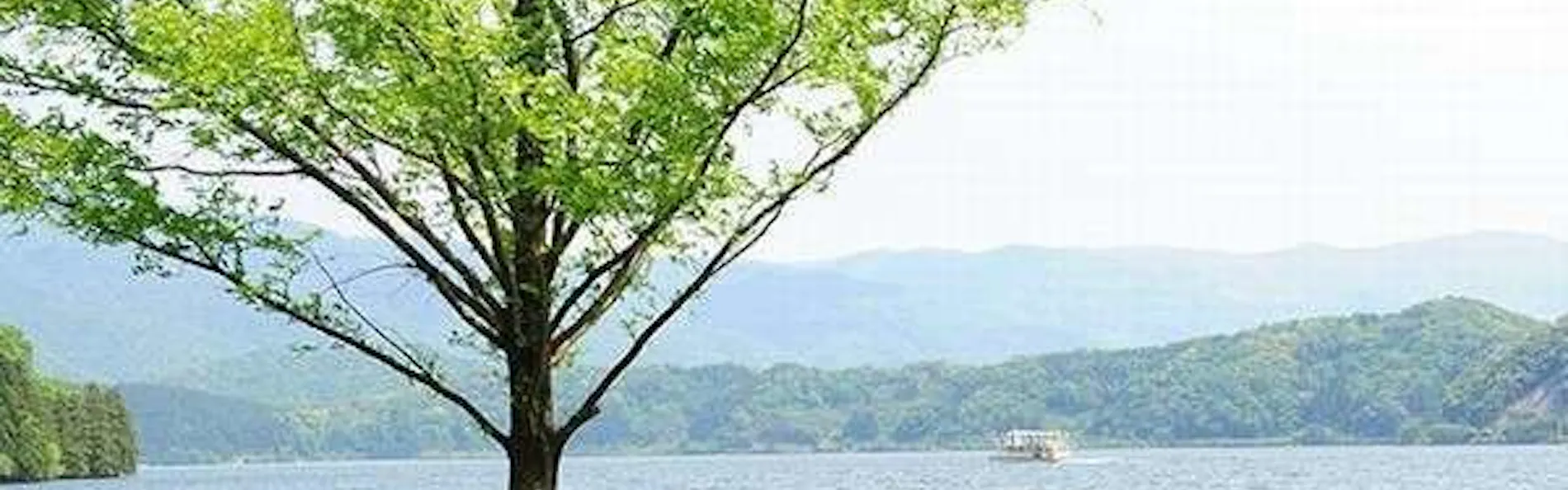 若狭みかた きらら温泉 水月花