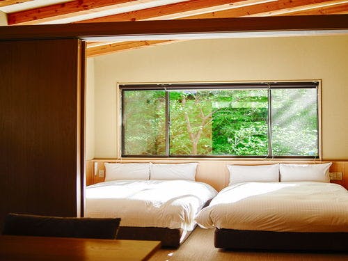 ・開放感のある約3ｍの勾配天井と大窓