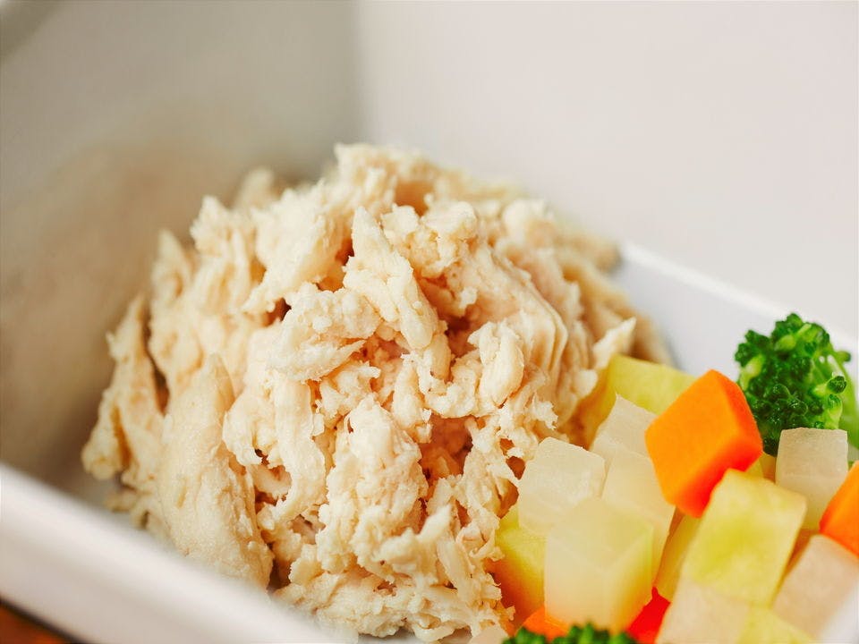 わんちゃんのお食事