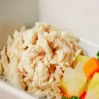 わんちゃんのお食事