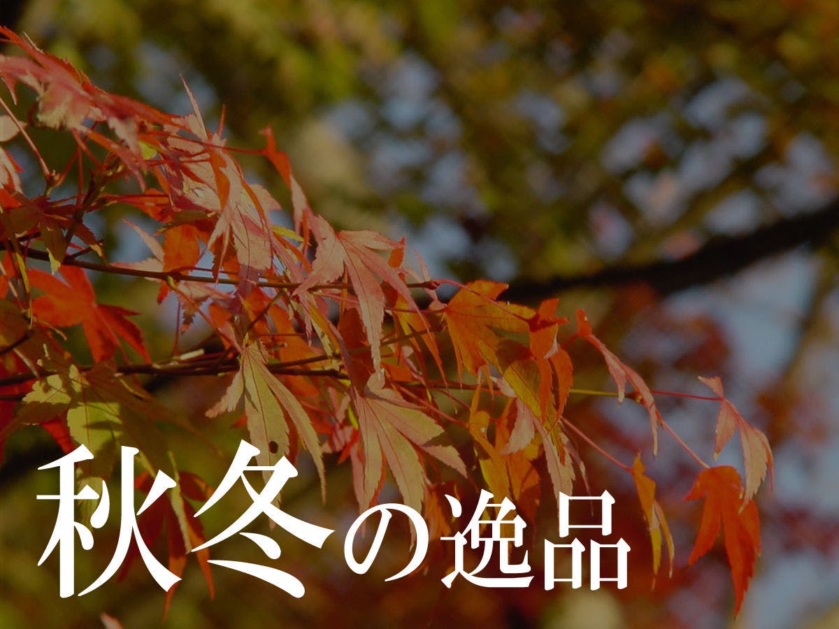 お宿　いけがみ