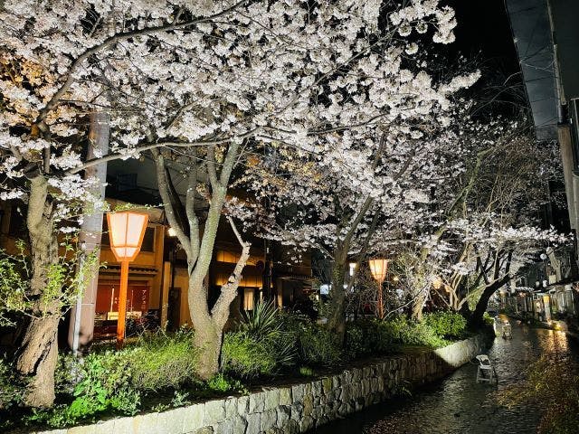 葵 HOTEL KYOTO