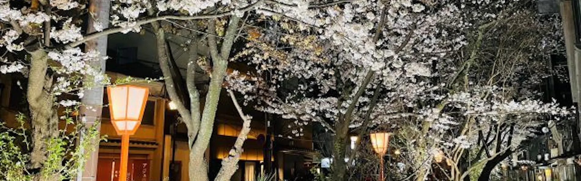 葵 HOTEL KYOTO