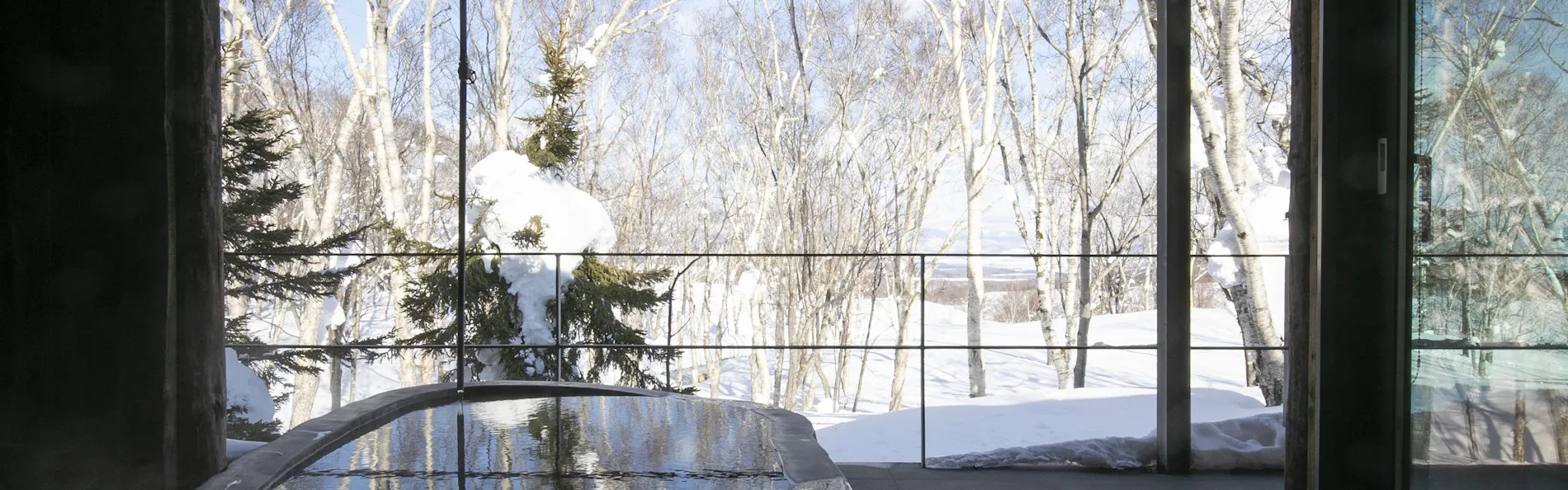 坐忘林