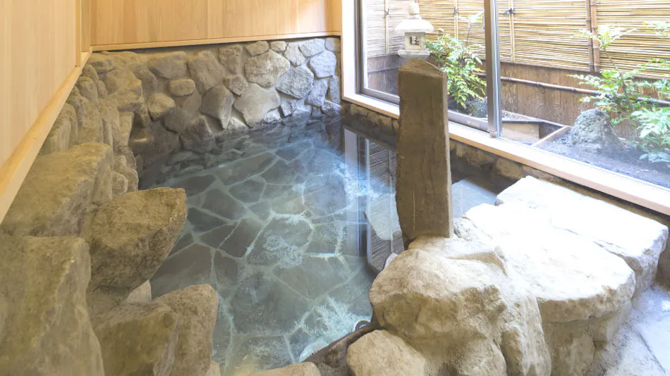 La Vista Fuji-Kawaguchiko (Kyoritsu Resort)