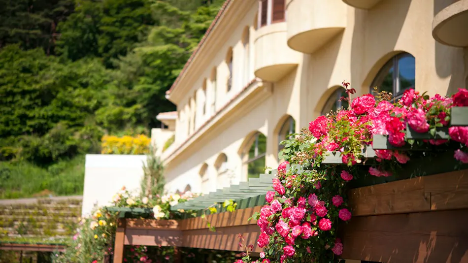 La Vista Fuji-Kawaguchiko (Kyoritsu Resort)