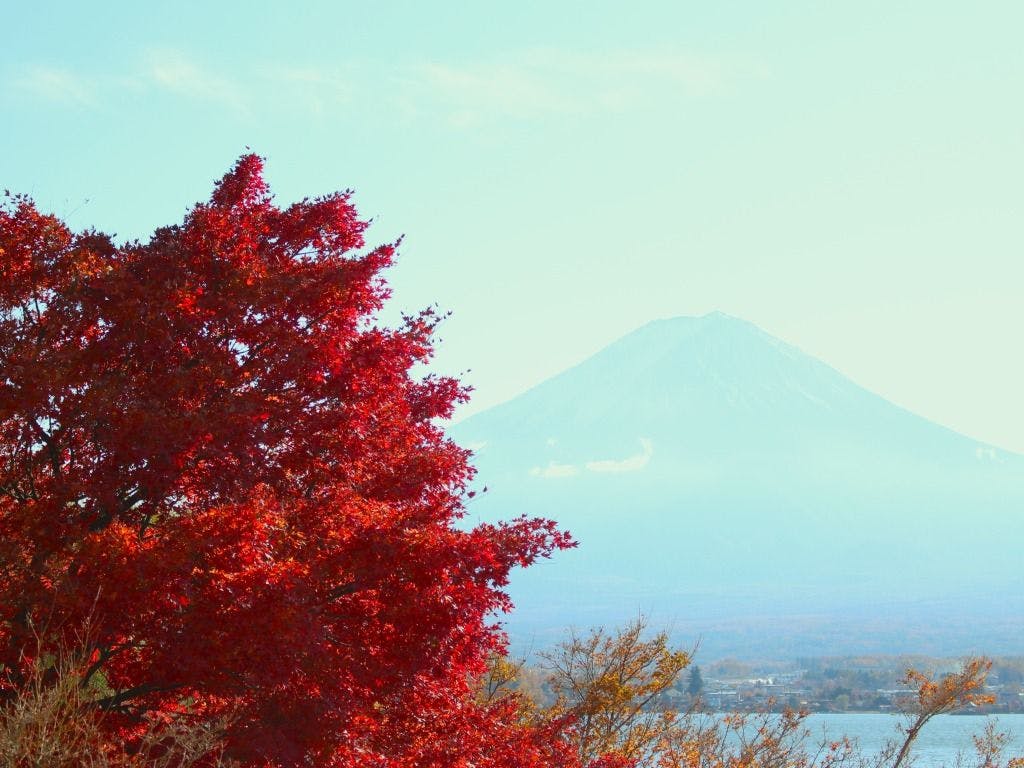 เพลิดเพลินกับสี่ฤดูของญี่ปุ่นด้วยใบไม้เปลี่ยนสีและภูเขาไฟฟูจิ