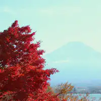 เพลิดเพลินกับสี่ฤดูของญี่ปุ่นด้วยใบไม้เปลี่ยนสีและภูเขาไฟฟูจิ