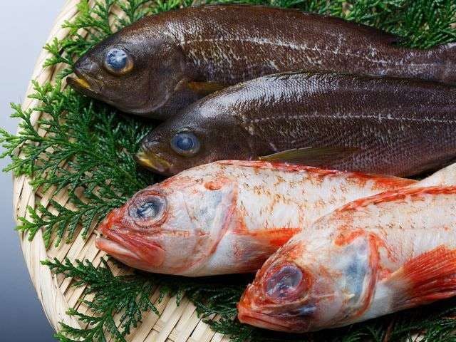 今井浜温泉 大人の隠れ宿 花の風