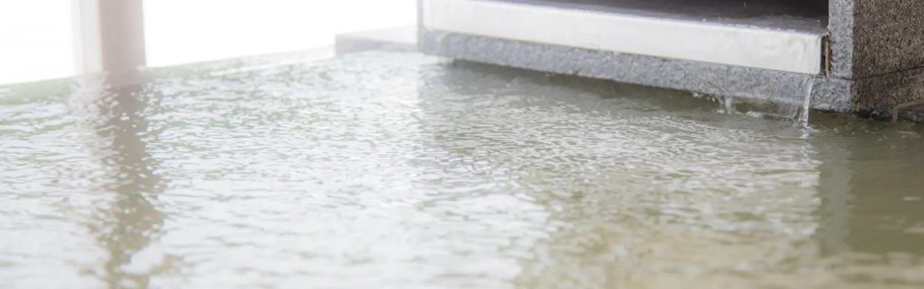 ホテルふたり木もれ陽