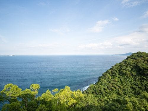 客室からの景色