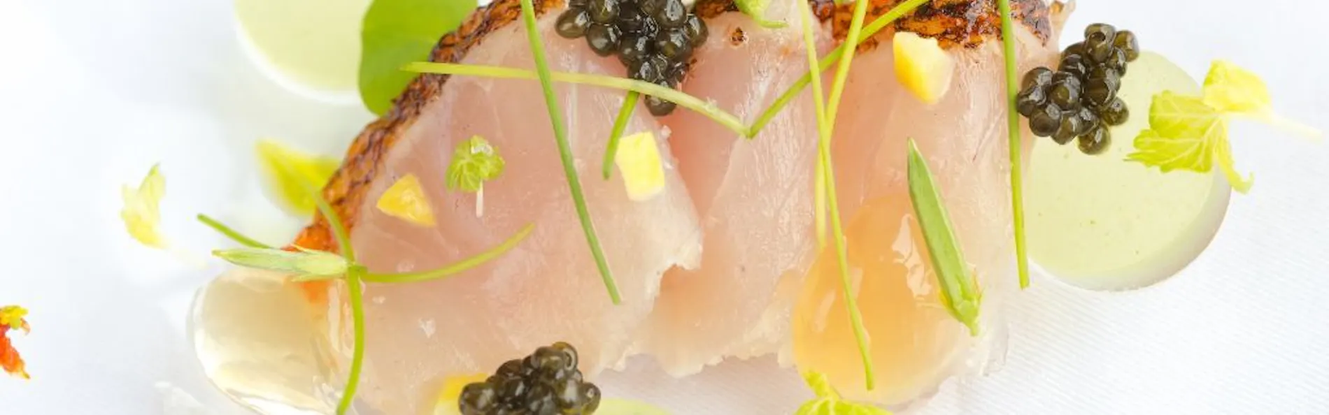 ホテルふたり木もれ陽