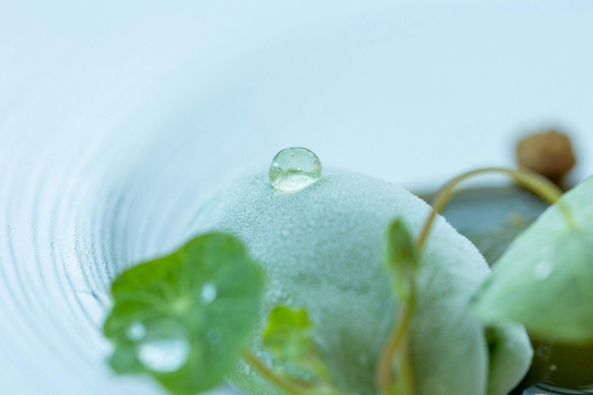 ホテルふたり木もれ陽