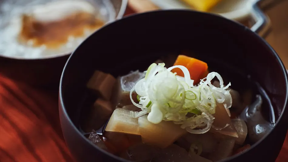 Relaxing Suwa Onsen Inn Sui-Suwako