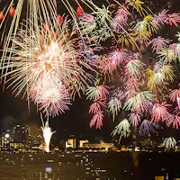 夜空を彩る大輪の花火