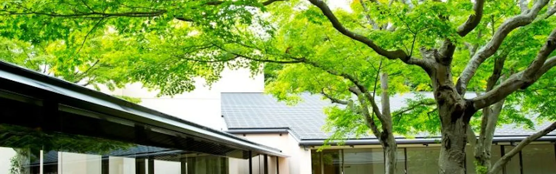 ネスタリゾート神戸 NESTA RESORT KOBE