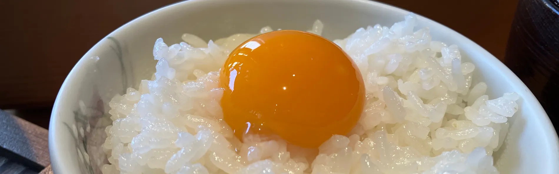 四万十の宿