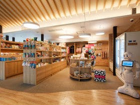 インギャーコーラルヴィレッジ