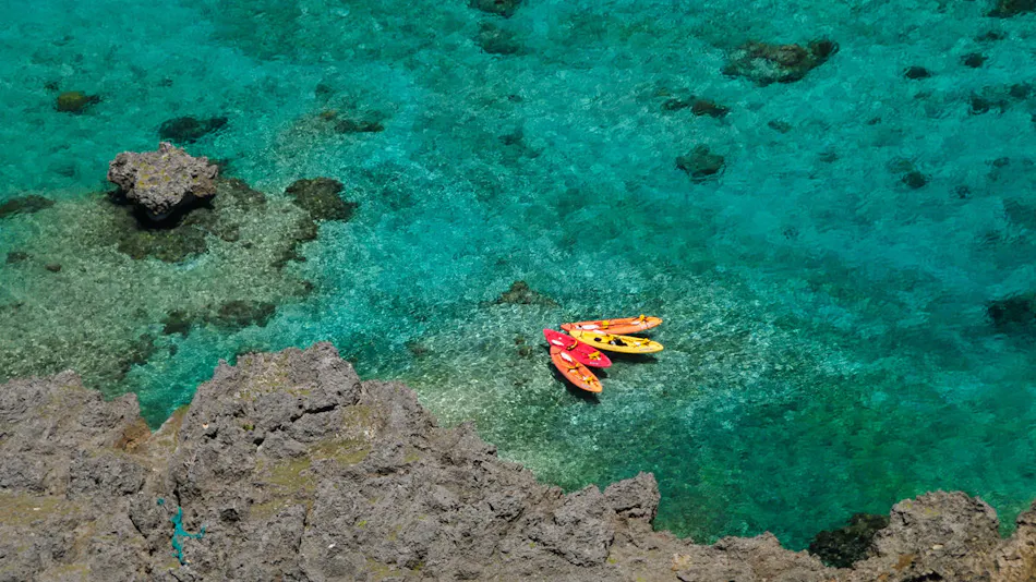 Allamanda Imgya Coral Village