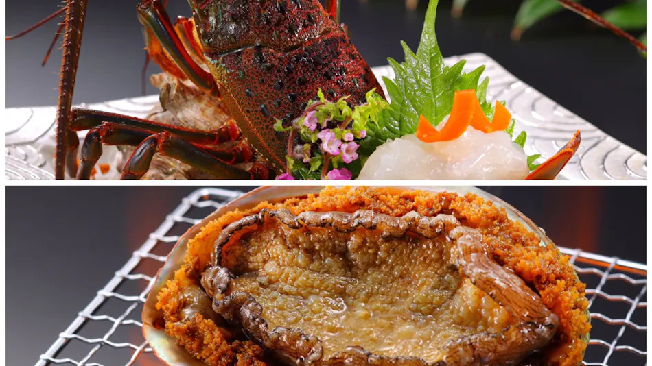 Delicious Onsen Yumemisaki
