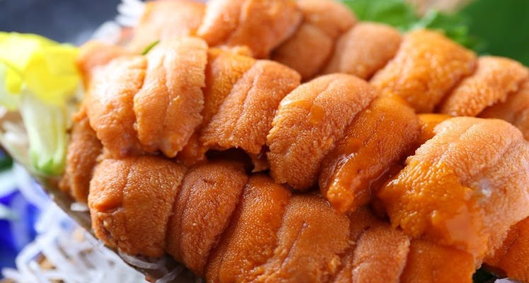 館山 南房総 美食を叶える宿 10選 お得に宿泊予約 Yahoo トラベル 館山 南房総 美食を叶える宿 10選 お得に宿泊予約 Yahoo トラベル