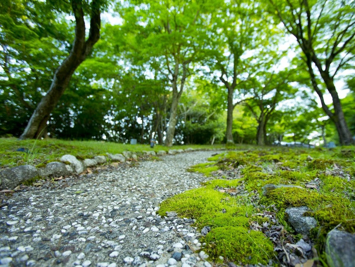 山荘　風の杜