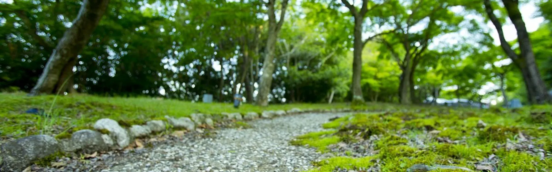 山荘 風の杜