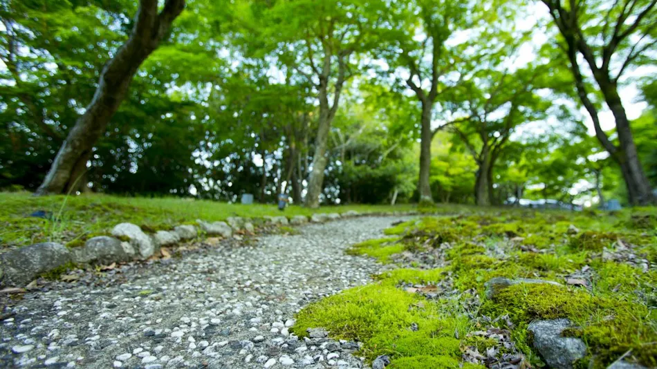 Luxury Mountain Retreat Kaze no Mori