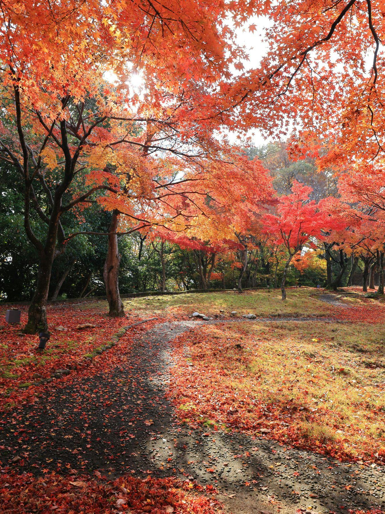 山荘　風の杜