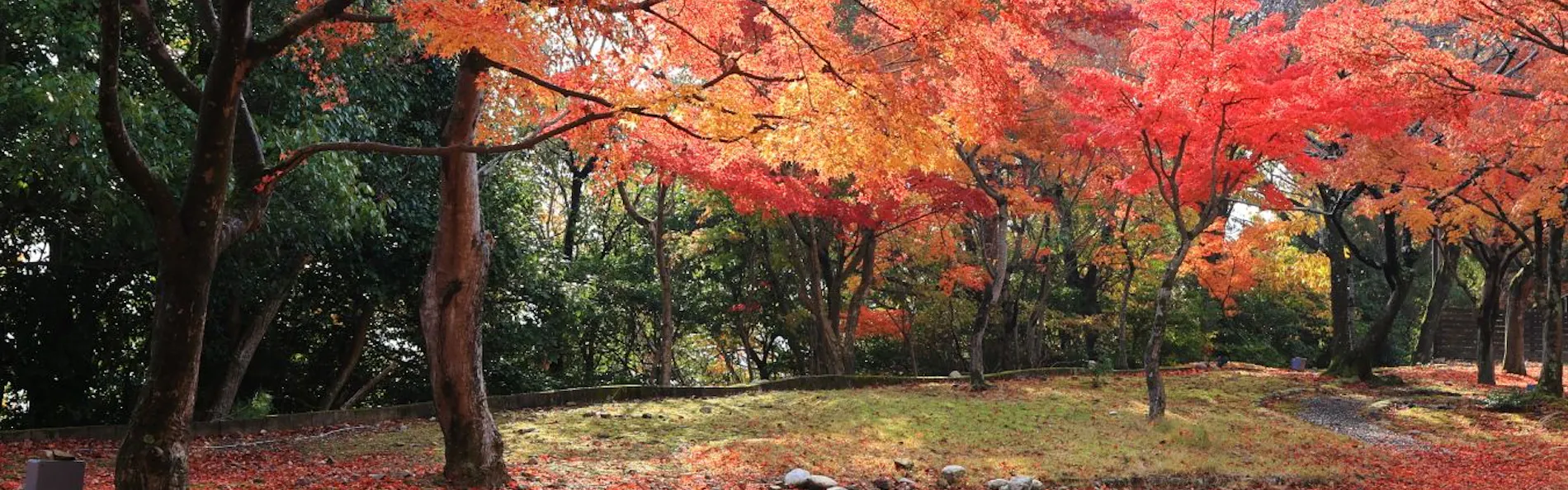 山荘 風の杜